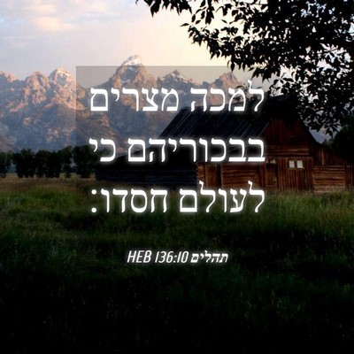 Picture 04 - תהלים 136:10 HEB - למכה מצרים בבכוריהם כי - Bible Verse Picture