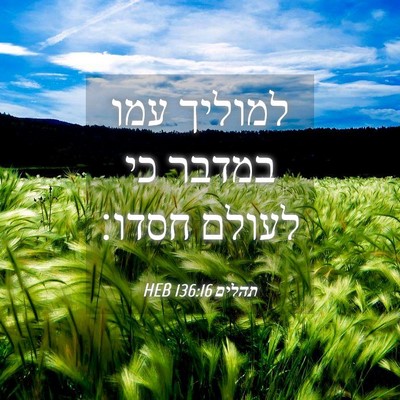 Picture 04 - תהלים 136:16 HEB - למוליך עמו במדבר כי לעולם - Bible Verse Picture