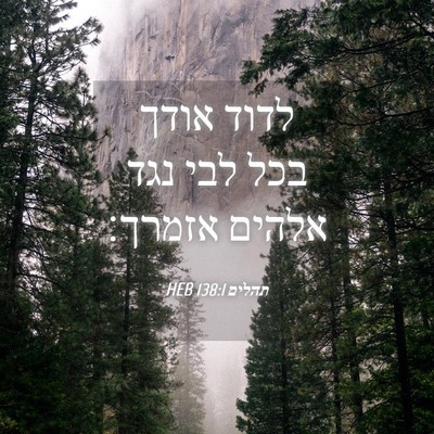 Picture 04 - תהלים 138:1 HEB - לדוד אודך בכל לבי נגד אלהים - Bible Verse Picture
