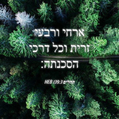 Picture 04 - תהלים 139:3 HEB - ארחי ורבעי זרית וכל דרכי - Bible Verse Picture