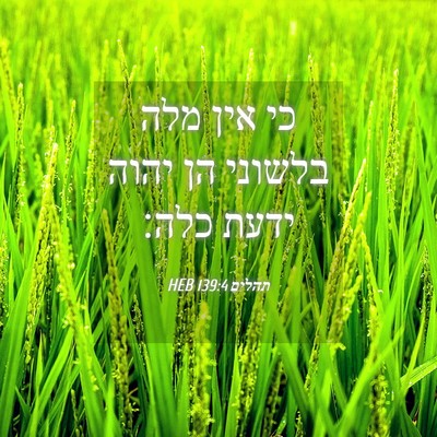 Picture 04 - תהלים 139:4 HEB - כי אין מלה בלשוני הן יהוה - Bible Verse Picture