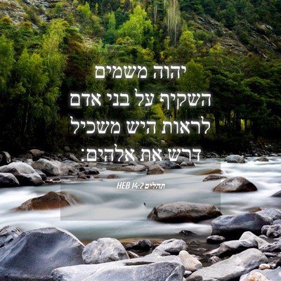 Picture 04 - תהלים 14:2 HEB - יהוה משמים השקיף על בני אדם - Bible Verse Picture