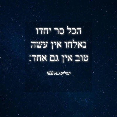 Picture 04 - תהלים 14:3 HEB - הכל סר יחדו נאלחו אין עשה - Bible Verse Picture