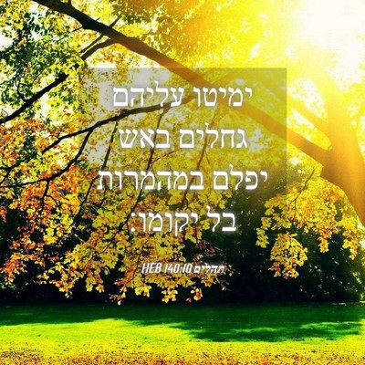 Picture 04 - תהלים 140:10 HEB - ימיטו עליהם גחלים באש יפלם - Bible Verse Picture