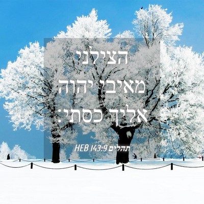Picture 04 - תהלים 143:9 HEB - הצילני מאיבי יהוה אליך - Bible Verse Picture
