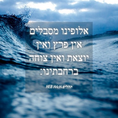 Picture 04 - תהלים 144:14 HEB - אלופינו מסבלים אין פרץ - Bible Verse Picture