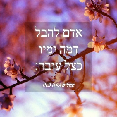 Picture 04 - תהלים 144:4 HEB - אדם להבל דמה ימיו כצל - Bible Verse Picture