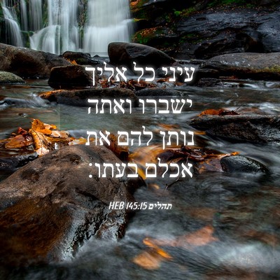Picture 04 - תהלים 145:15 HEB - עיני כל אליך ישברו ואתה - Bible Verse Picture