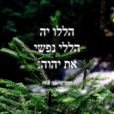 Picture 04 - תהלים 146:1 HEB - הללו יה הללי נפשי את - Bible Verse Picture