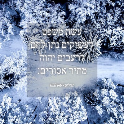 Picture 04 - תהלים 146:7 HEB - עשה משפט לעשוקים נתן לחם - Bible Verse Picture