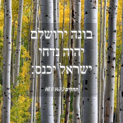 Picture 04 - תהלים 147:2 HEB - בונה ירושלם יהוה נדחי - Bible Verse Picture