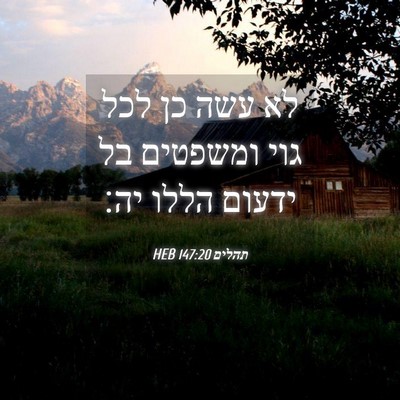 Picture 04 - תהלים 147:20 HEB - לא עשה כן לכל גוי ומשפטים - Bible Verse Picture