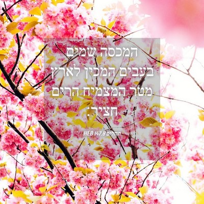 Picture 04 - תהלים 147:8 HEB - המכסה שמים בעבים המכין - Bible Verse Picture