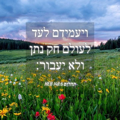 Picture 04 - תהלים 148:6 HEB - ויעמידם לעד לעולם חק נתן - Bible Verse Picture