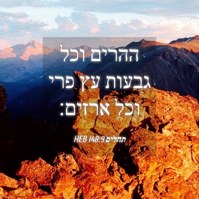 Picture 04 - תהלים 148:9 HEB - ההרים וכל גבעות עץ פרי וכל - Bible Verse Picture