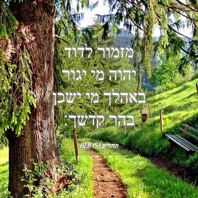 Picture 04 - תהלים 15:1 HEB - מזמור לדוד יהוה מי יגור - Bible Verse Picture
