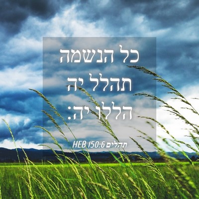 Picture 04 - תהלים 150:6 HEB - כל הנשמה תהלל יה הללו - Bible Verse Picture