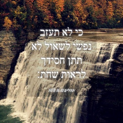 Picture 04 - תהלים 16:10 HEB - כי לא תעזב נפשי לשאול לא - Bible Verse Picture