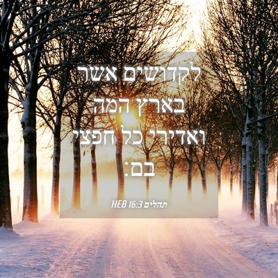 Picture 04 - תהלים 16:3 HEB - לקדושים אשר בארץ המה - Bible Verse Picture