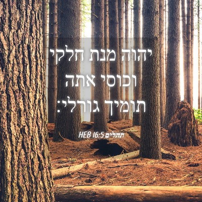 Picture 04 - תהלים 16:5 HEB - יהוה מנת חלקי וכוסי אתה - Bible Verse Picture