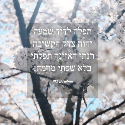 Picture 04 - תהלים 17:1 HEB - תפלה לדוד שמעה יהוה צדק - Bible Verse Picture