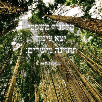 Picture 04 - תהלים 17:2 HEB - מלפניך משפטי יצא עיניך - Bible Verse Picture