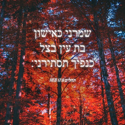 Picture 04 - תהלים 17:8 HEB - שמרני כאישון בת עין בצל - Bible Verse Picture
