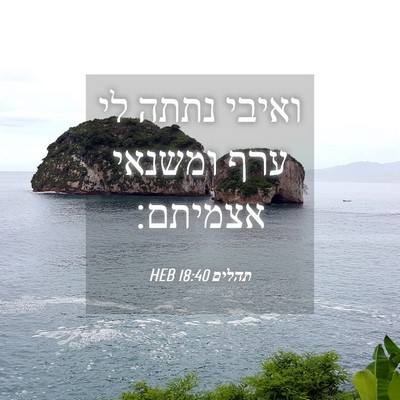 Picture 04 - תהלים 18:40 HEB - ואיבי נתתה לי ערף ומשנאי - Bible Verse Picture