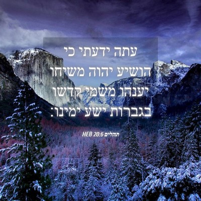 Picture 04 - תהלים 20:6 HEB - עתה ידעתי כי הושיע יהוה - Bible Verse Picture