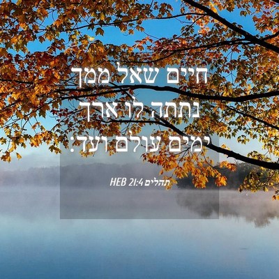 Picture 04 - תהלים 21:4 HEB - חיים שאל ממך נתתה לו ארך - Bible Verse Picture