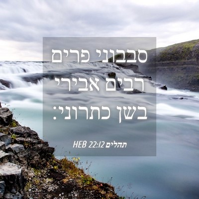 Picture 04 - תהלים 22:12 HEB - סבבוני פרים רבים אבירי בשן - Bible Verse Picture
