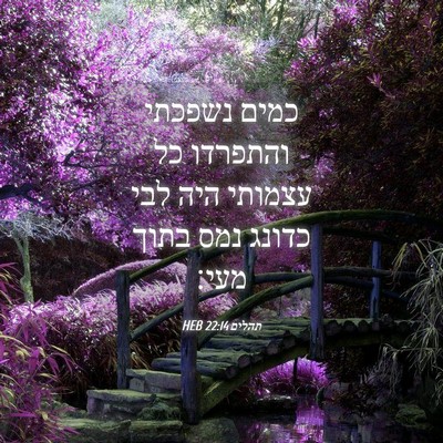 Picture 04 - תהלים 22:14 HEB - כמים נשפכתי והתפרדו כל - Bible Verse Picture