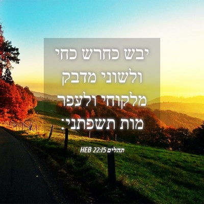 Picture 04 - תהלים 22:15 HEB - יבש כחרש כחי ולשוני מדבק - Bible Verse Picture