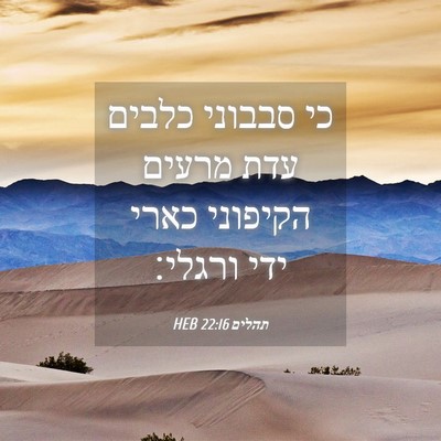 Picture 04 - תהלים 22:16 HEB - כי סבבוני כלבים עדת מרעים - Bible Verse Picture