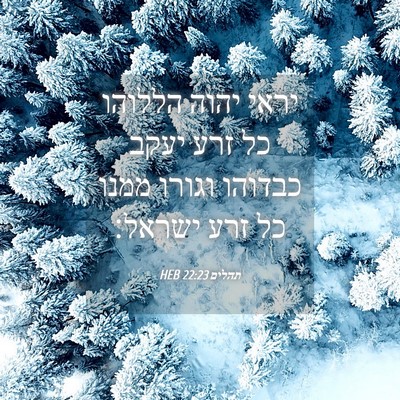 Picture 04 - תהלים 22:23 HEB - יראי יהוה הללוהו כל זרע - Bible Verse Picture