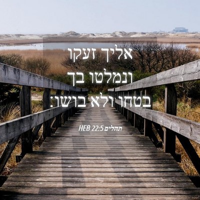 Picture 04 - תהלים 22:5 HEB - אליך זעקו ונמלטו בך בטחו - Bible Verse Picture