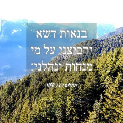 Picture 04 - תהלים 23:2 HEB - בנאות דשא ירביצני על מי - Bible Verse Picture