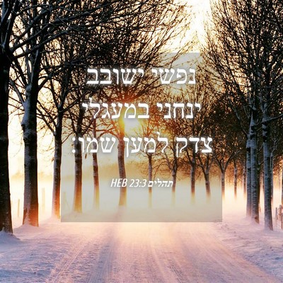 Picture 04 - תהלים 23:3 HEB - נפשי ישובב ינחני במעגלי - Bible Verse Picture