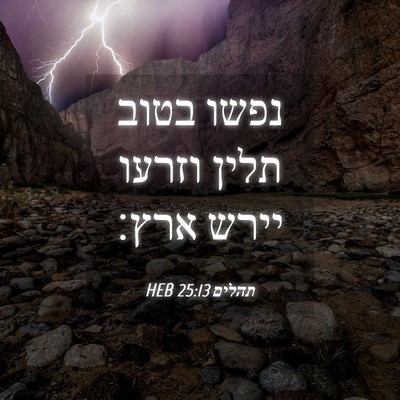Picture 04 - תהלים 25:13 HEB - נפשו בטוב תלין וזרעו יירש - Bible Verse Picture