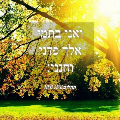 Picture 04 - תהלים 26:11 HEB - ואני בתמי אלך פדני - Bible Verse Picture