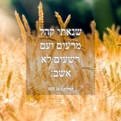 Picture 04 - תהלים 26:5 HEB - שנאתי קהל מרעים ועם רשעים - Bible Verse Picture