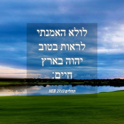Picture 04 - תהלים 27:13 HEB - לולא האמנתי לראות בטוב - Bible Verse Picture