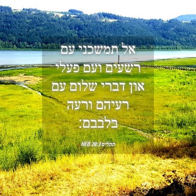 Picture 04 - תהלים 28:3 HEB - אל תמשכני עם רשעים ועם פעלי - Bible Verse Picture