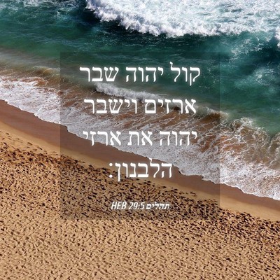 Picture 04 - תהלים 29:5 HEB - קול יהוה שבר ארזים וישבר - Bible Verse Picture