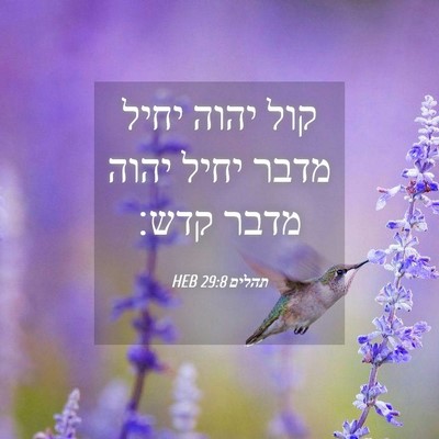 Picture 04 - תהלים 29:8 HEB - קול יהוה יחיל מדבר יחיל - Bible Verse Picture