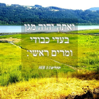 Picture 04 - תהלים 3:3 HEB - ואתה יהוה מגן בעדי כבודי - Bible Verse Picture