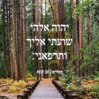 Picture 04 - תהלים 30:2 HEB - יהוה אלהי שועתי אליך - Bible Verse Picture
