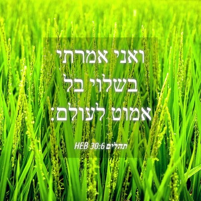 Picture 04 - תהלים 30:6 HEB - ואני אמרתי בשלוי בל אמוט - Bible Verse Picture
