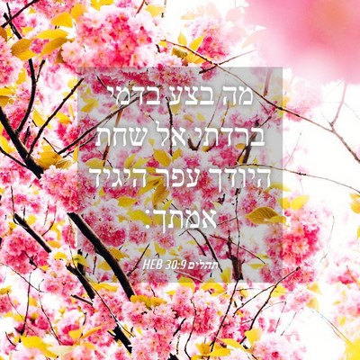 Picture 04 - תהלים 30:9 HEB - מה בצע בדמי ברדתי אל שחת - Bible Verse Picture