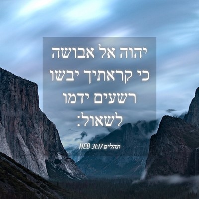 Picture 04 - תהלים 31:17 HEB - יהוה אל אבושה כי קראתיך - Bible Verse Picture